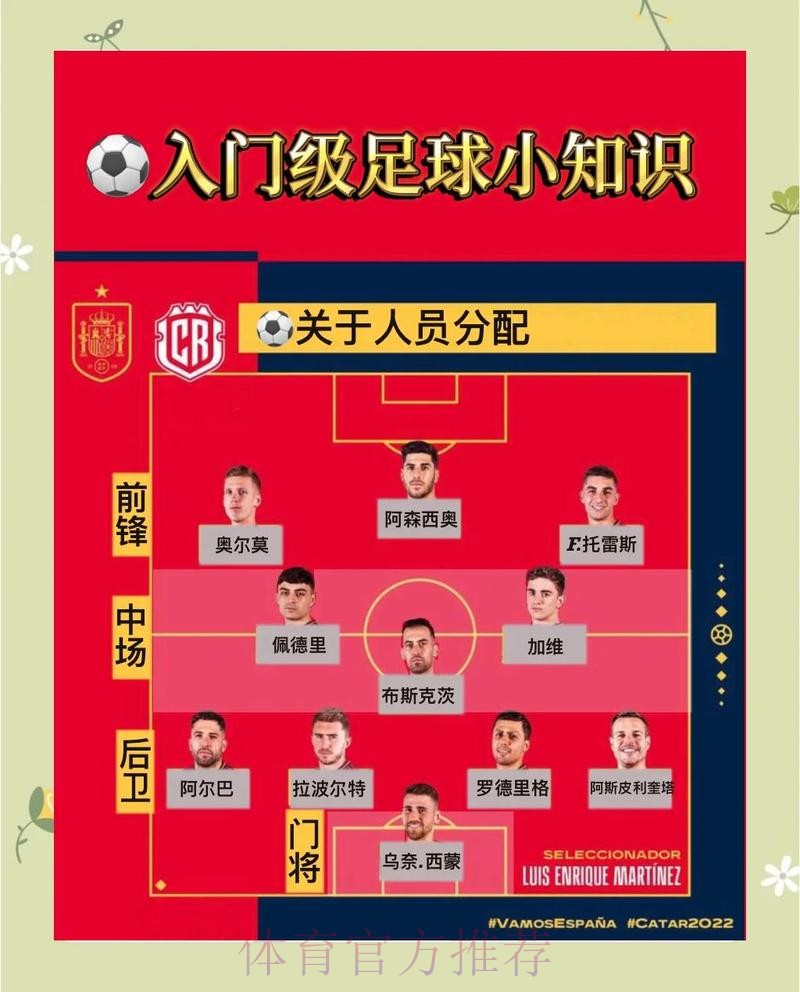 揭秘世界杯比分技巧官方内幕与攻略